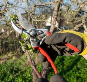 élagage d'arbre à Saint-Girons Castillon  Aspet 